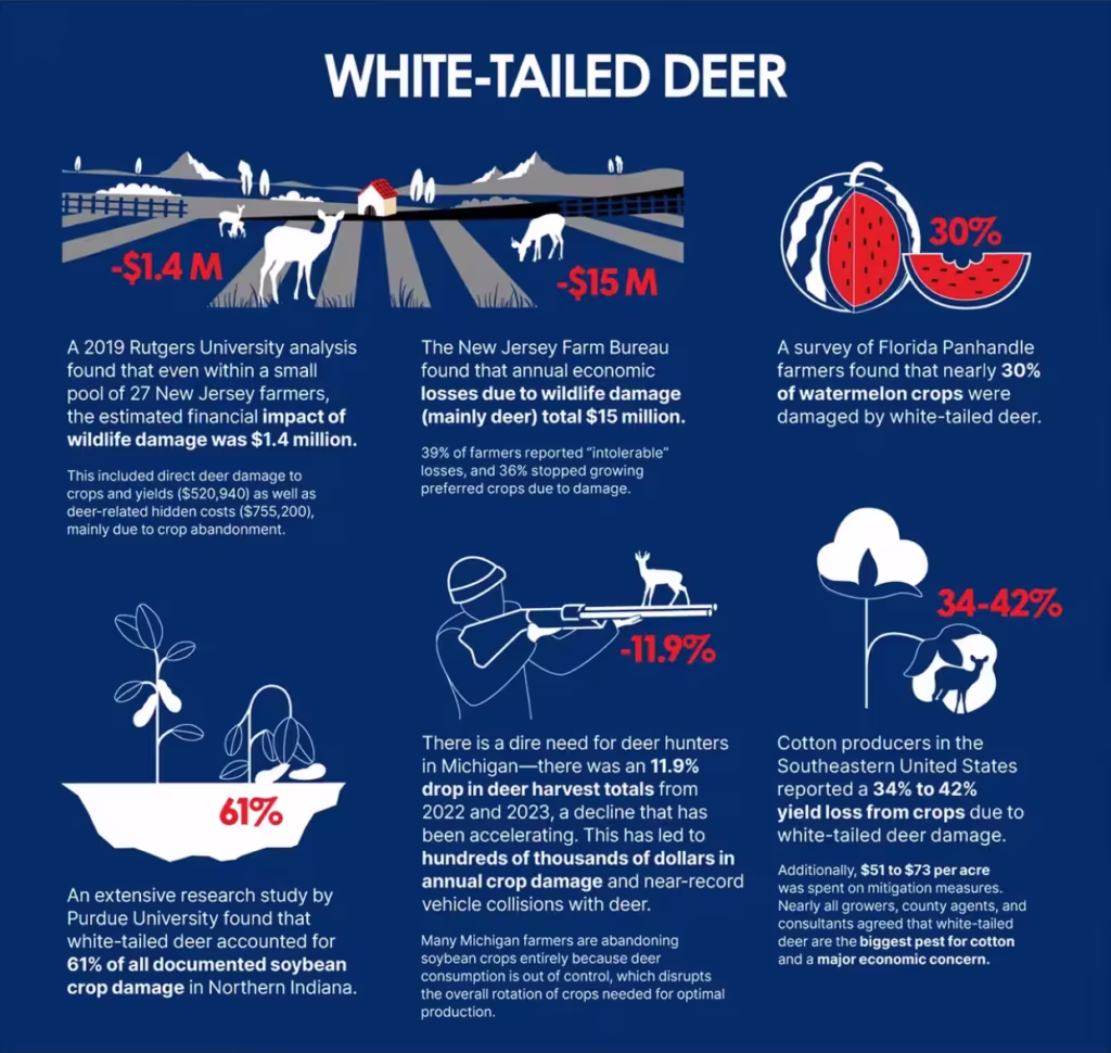 white-tailed deer damages